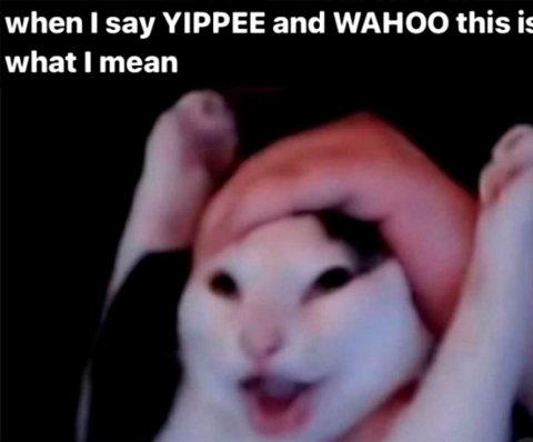 when say YIPPEE and WAHOO this is what I mean