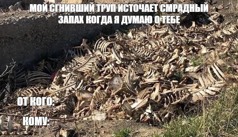 ТРУП ИСТОЧАЕТ СМРАДНЫЙ КОГДА Я ДУМАЮ A у 5 у A i 2 А fea 4 Whe A at 4 aN в be 407 a а we A 3 „2 a: 7 7 4 4 4