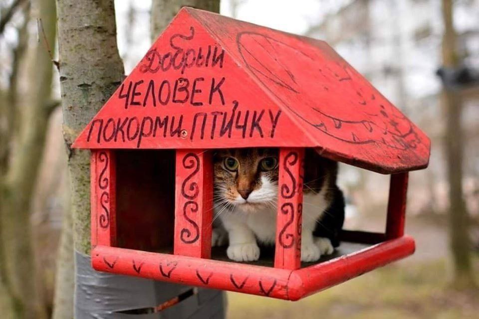 4 УЧЕЛОВЕ К
