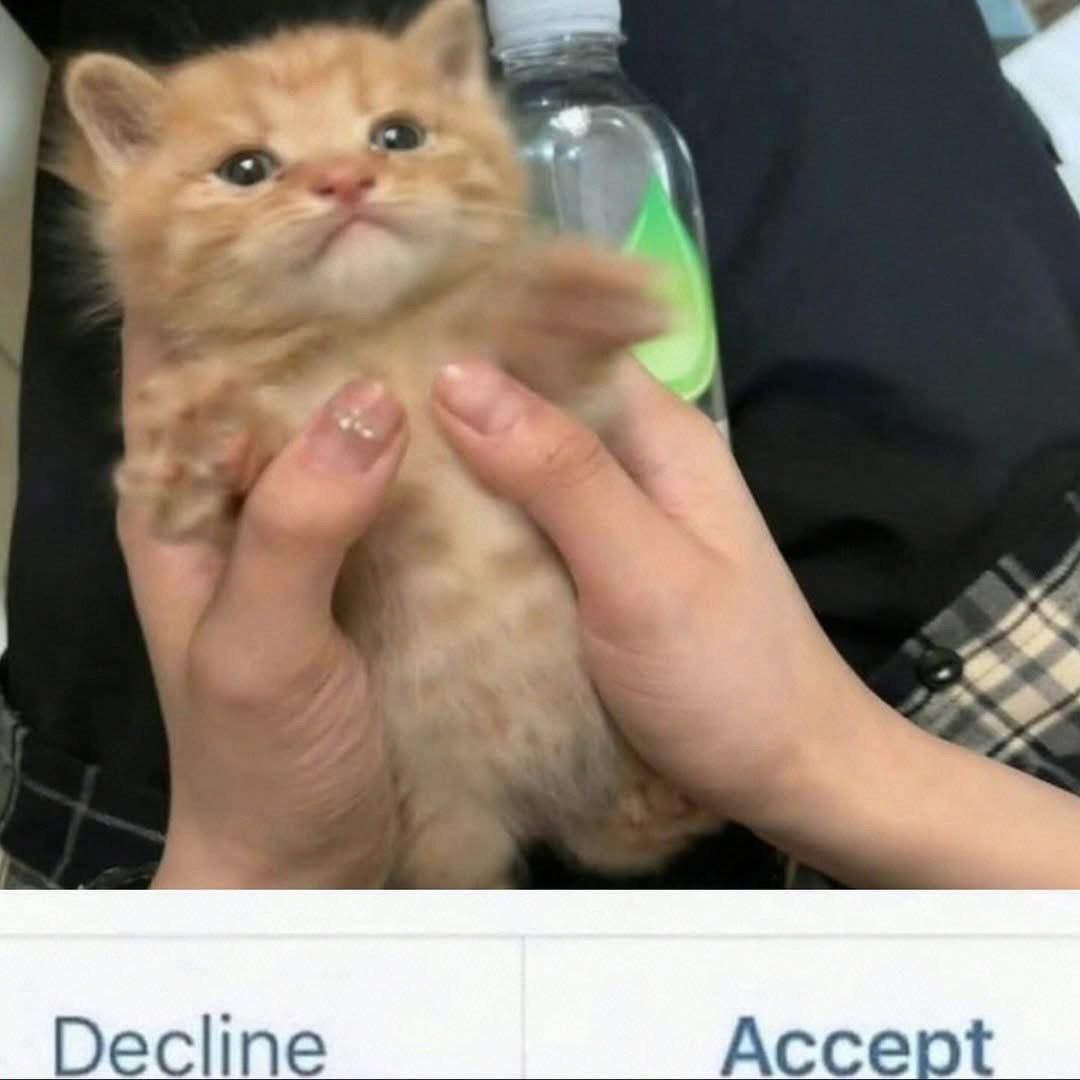Decline Accept