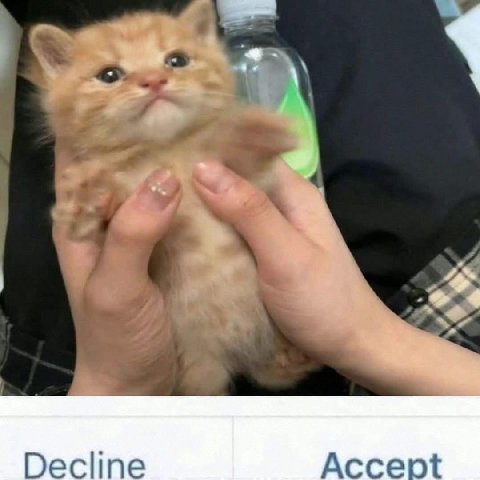 Decline Accept