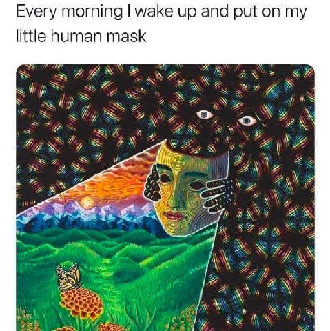 Every morning wake up and put on my little human mask a 77 2 sly 7, 77 1 2\ У А\ 2 7) 2 у