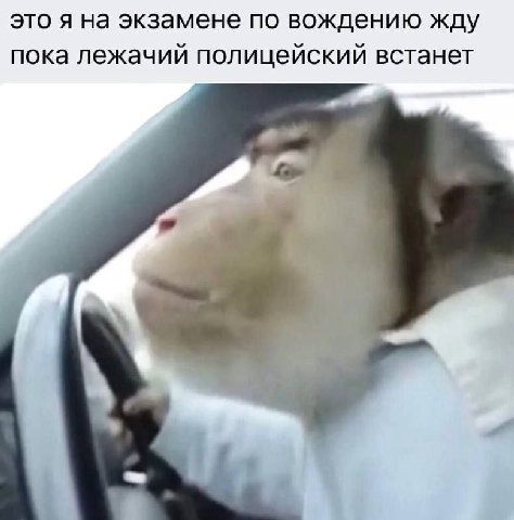 это я на экзамене по вождению жду пока лежачий полицейский встанет a 4