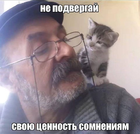 не подвергаи 4 своюценность сомнениям