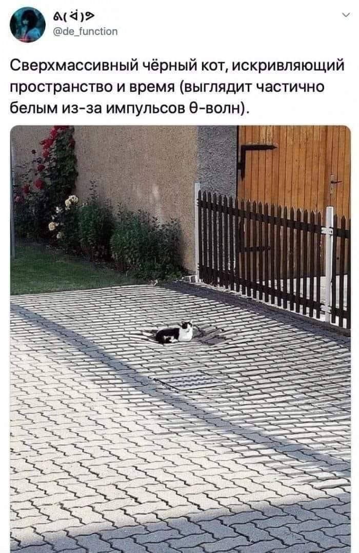 @de_function Сверхмассивный чёрный KOT, искривляющий пространство и время (выглядит частично белым из-за импульсов 9-волн).