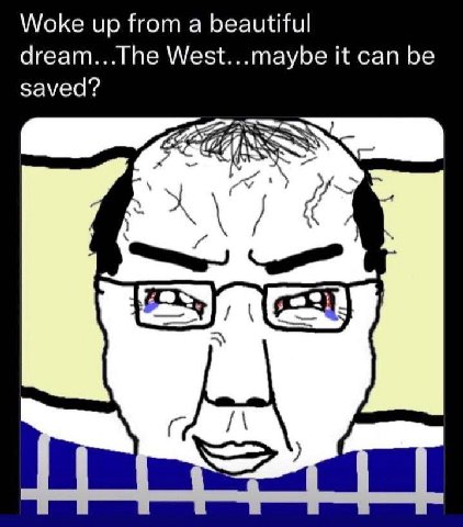 Woke up from a beautiful dream...The West...maybe it can be saved? я