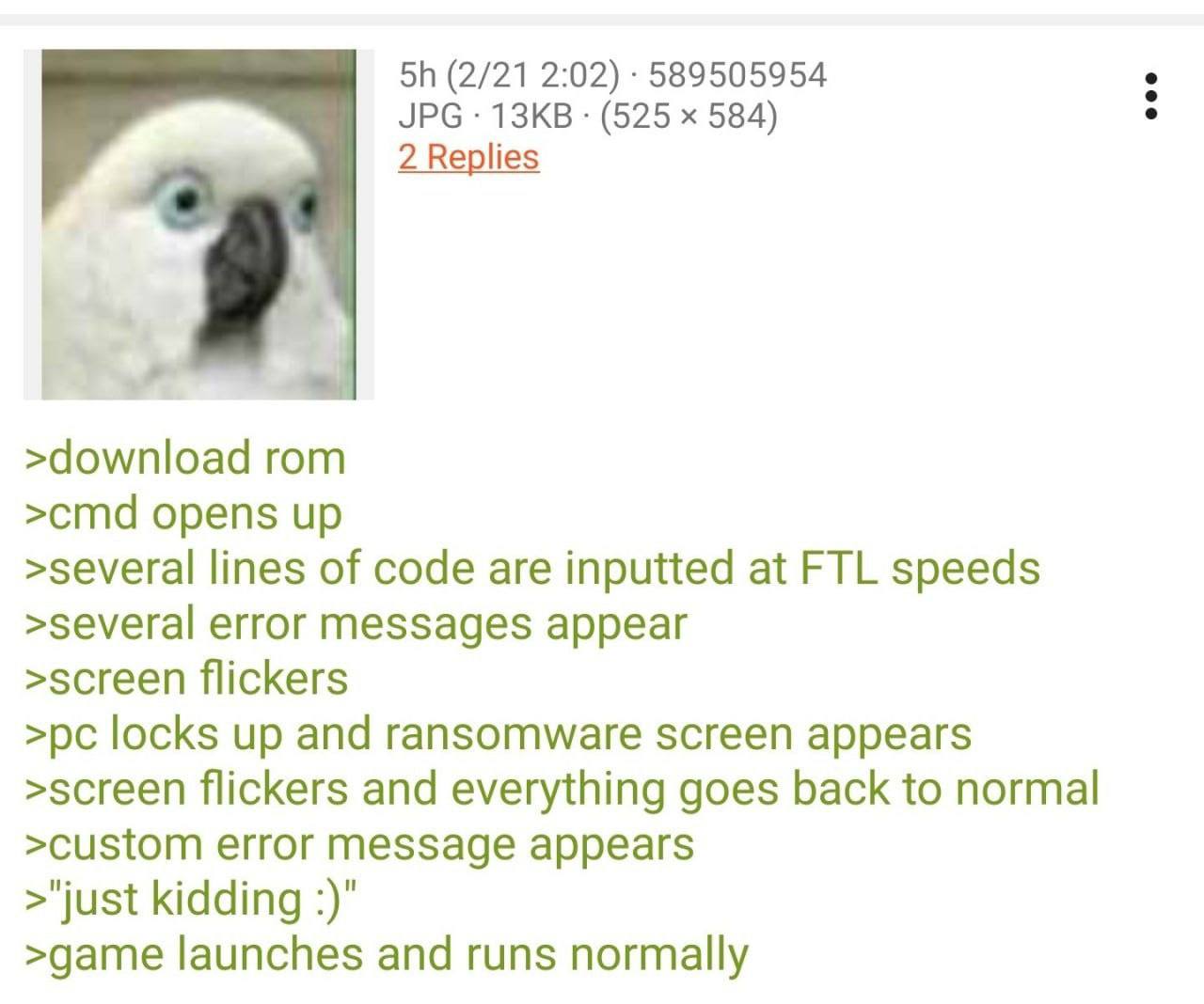 (2/21 2:02) 589505954 JPG (525 584) 2 Replies >download rom >cmd opens up >several lines of code are inputted at FTL speeds >several error messages appear >screen flickers locks up and ransomware scre