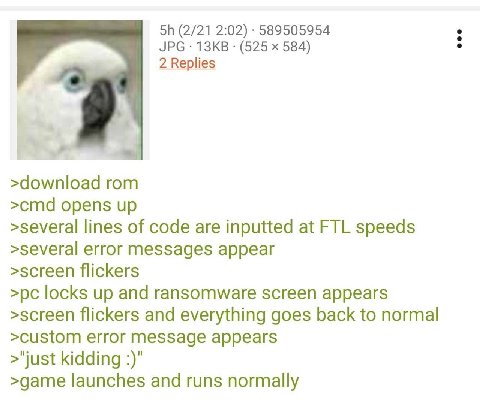 (2/21 2:02) 589505954 JPG (525 584) 2 Replies >download rom >cmd opens up >several lines of code are inputted at FTL speeds >several error messages appear >screen flickers locks up and ransomware scre