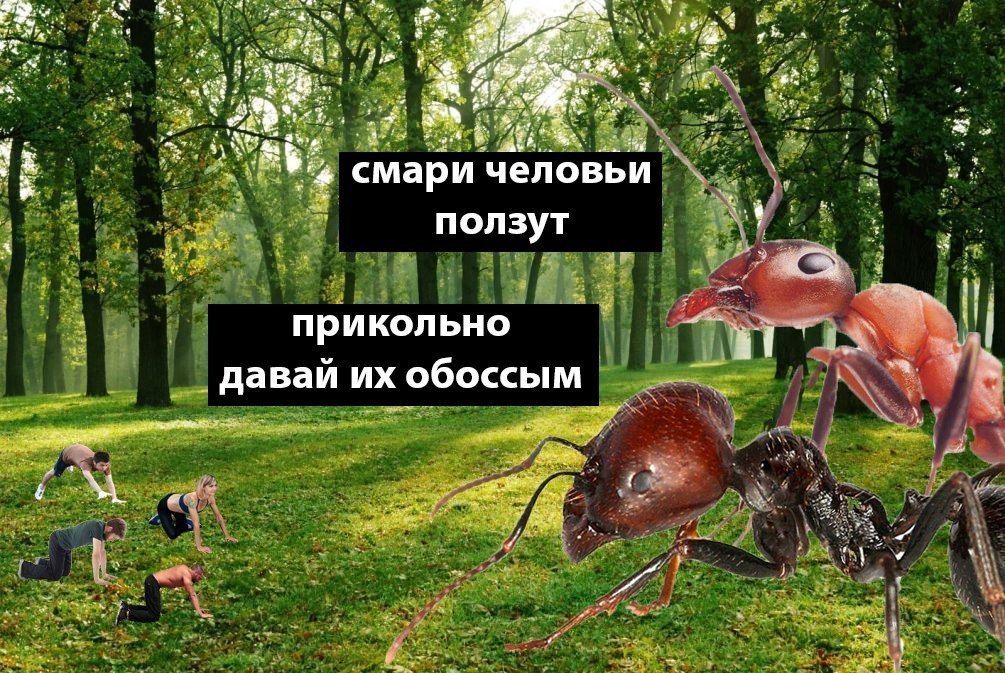 i, у СМари человьи ползут прикольно 3 даваи обоссым у 4 и