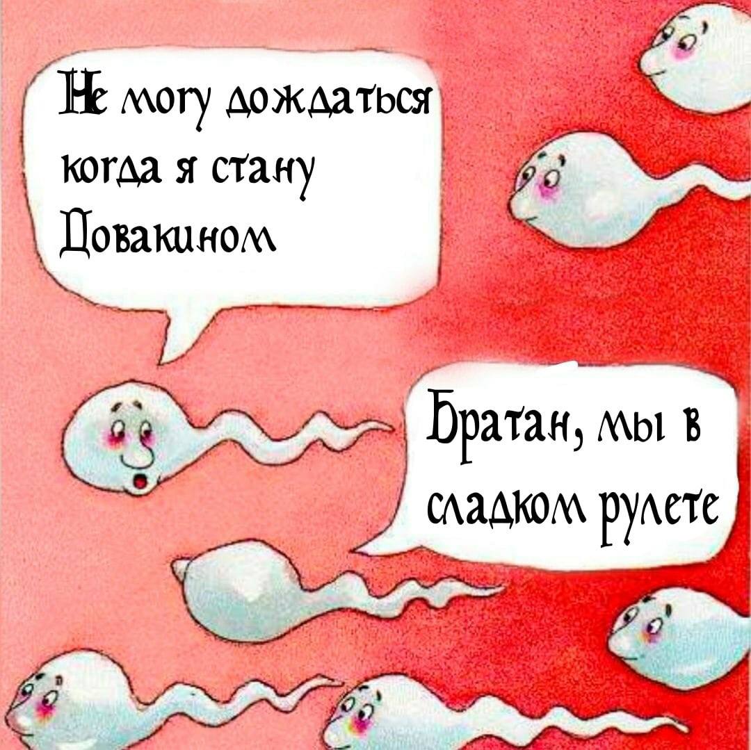 He могу когда я стану Пратан, МЫ