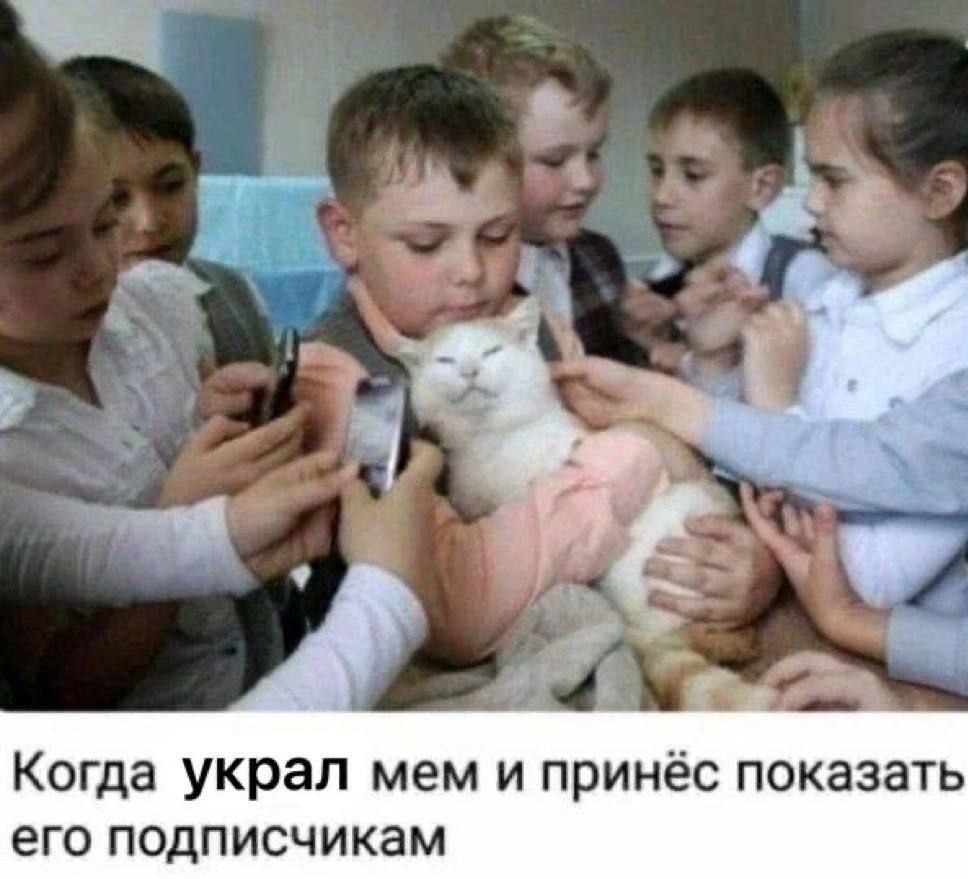 Когда украл мем и принёс показать его подписчикам
