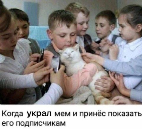 Когда украл мем и принёс показать его подписчикам