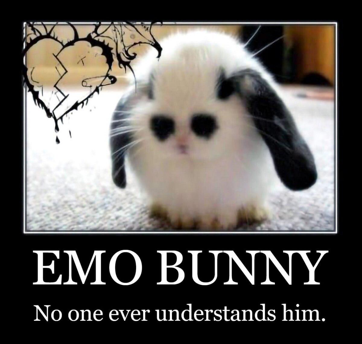 ЕМО ВОММУ No one ever understands him.
