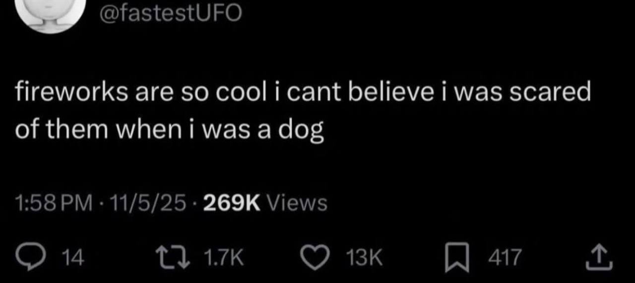 @fastestUFO fireworks are so cool i cant believe i was scared of them was a dog 1:58 11/5/25 Views 14 1} 417