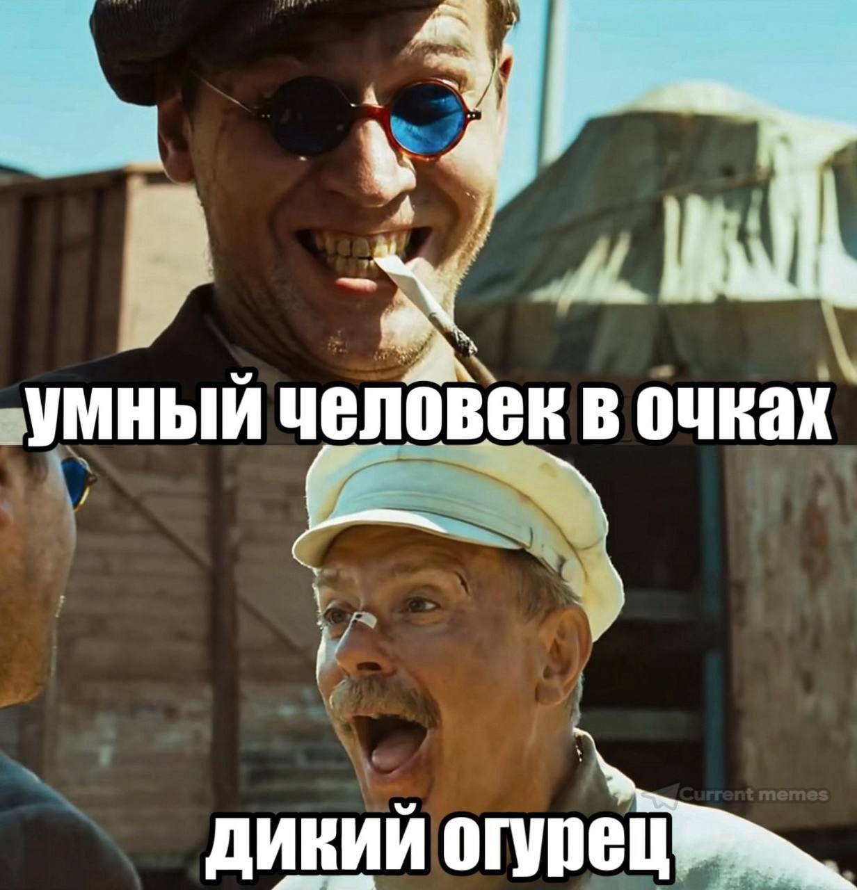 человек в очках. ДИКИЙ