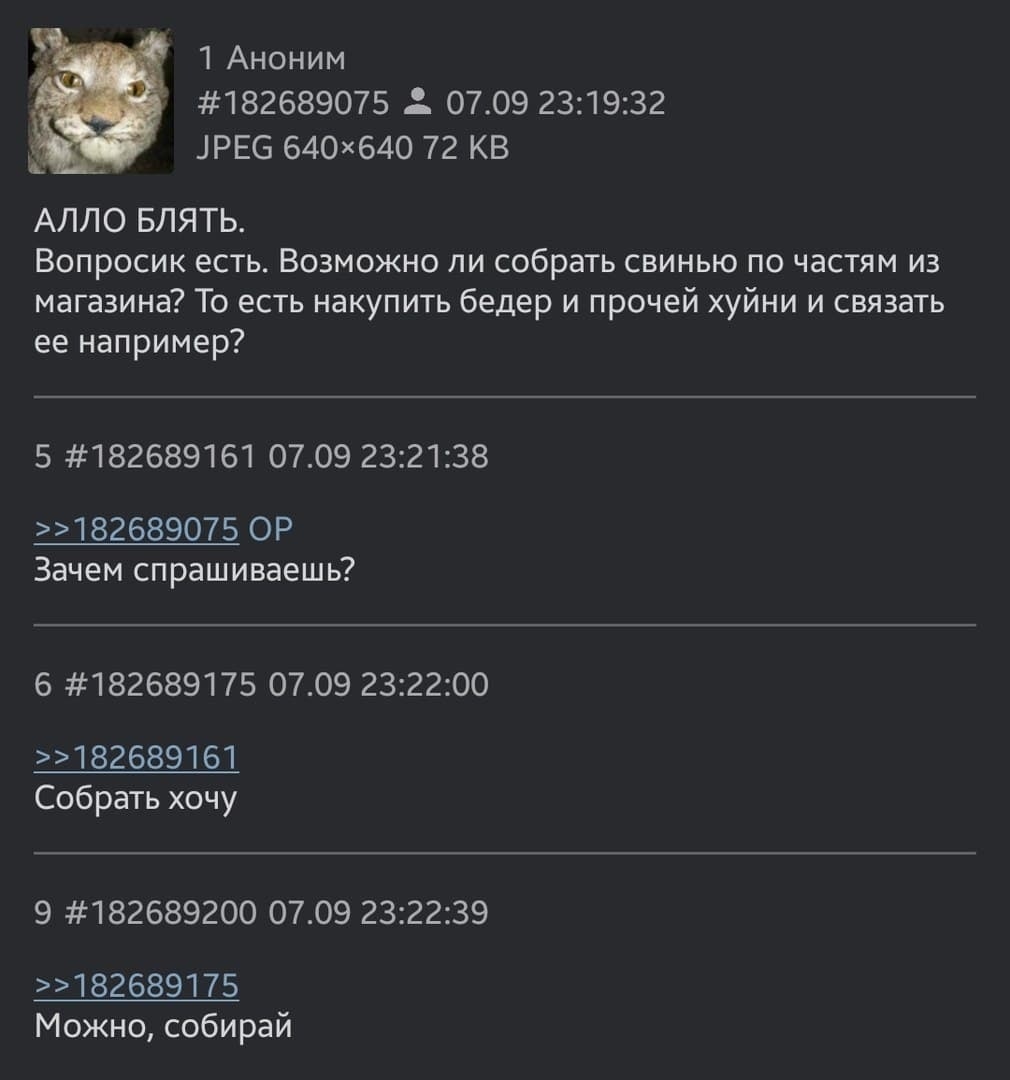 1 Аноним #182689075 07.09 23:19:32 JPEG 72 АЛЛО БЛЯТЬ. Вопросик есть. Возможно ли собрать свинью по частям из магазина? То есть накупить бедер и прочей хуйни и связать ее например? 5 #182689161 07.09 
