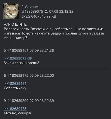 1 Аноним #182689075 07.09 23:19:32 JPEG 72 АЛЛО БЛЯТЬ. Вопросик есть. Возможно ли собрать свинью по частям из магазина? То есть накупить бедер и прочей хуйни и связать ее например? 5 #182689161 07.09 