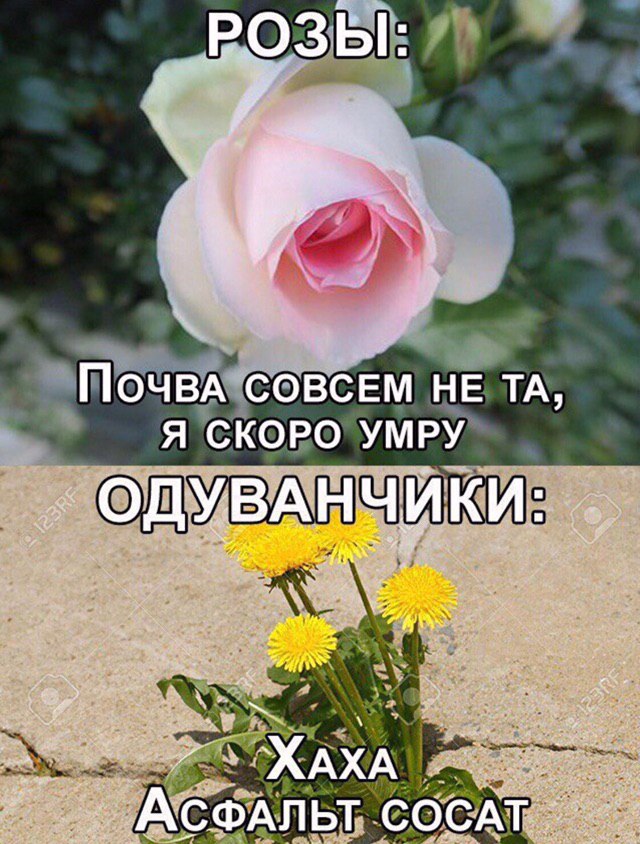 бар