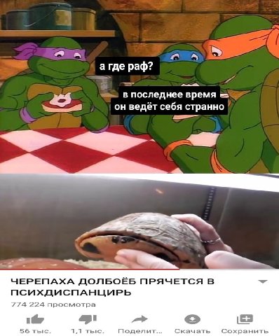 a aN а где pad? в последнее время он ведёт себя странно ЧЕРЕПАХА ДОЛБОЁБ ПРЯЧЕТСЯ В ПСИХДИСПАНЦИРЬ 774 224 просмотра 1 a 56 тыс. 1,1 тыс. Поделич... Скачать Сохранить
