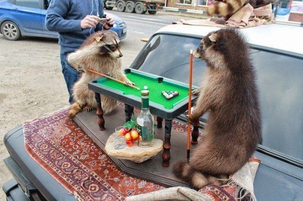A я 4 4 4 4 4 9 A BAS i a У ets Pio