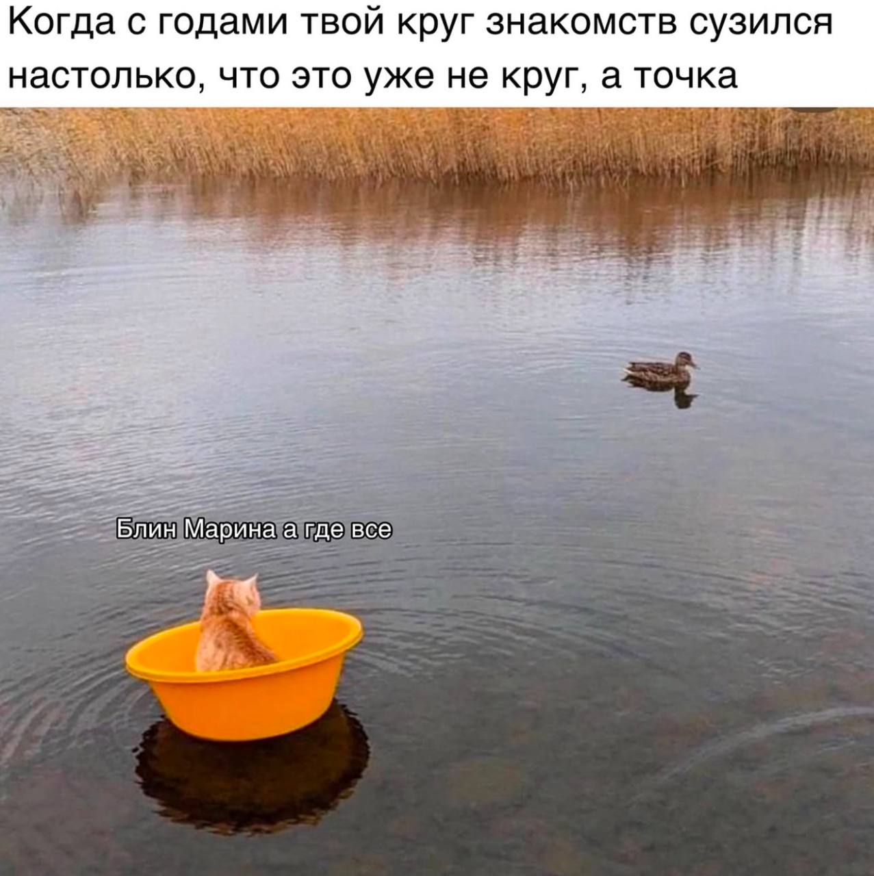 Когда с годами твой круг знакомств сузился настолько, что это уже не круг, а точка Блин Марина а где все