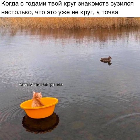 Когда с годами твой круг знакомств сузился настолько, что это уже не круг, а точка Блин Марина а где все