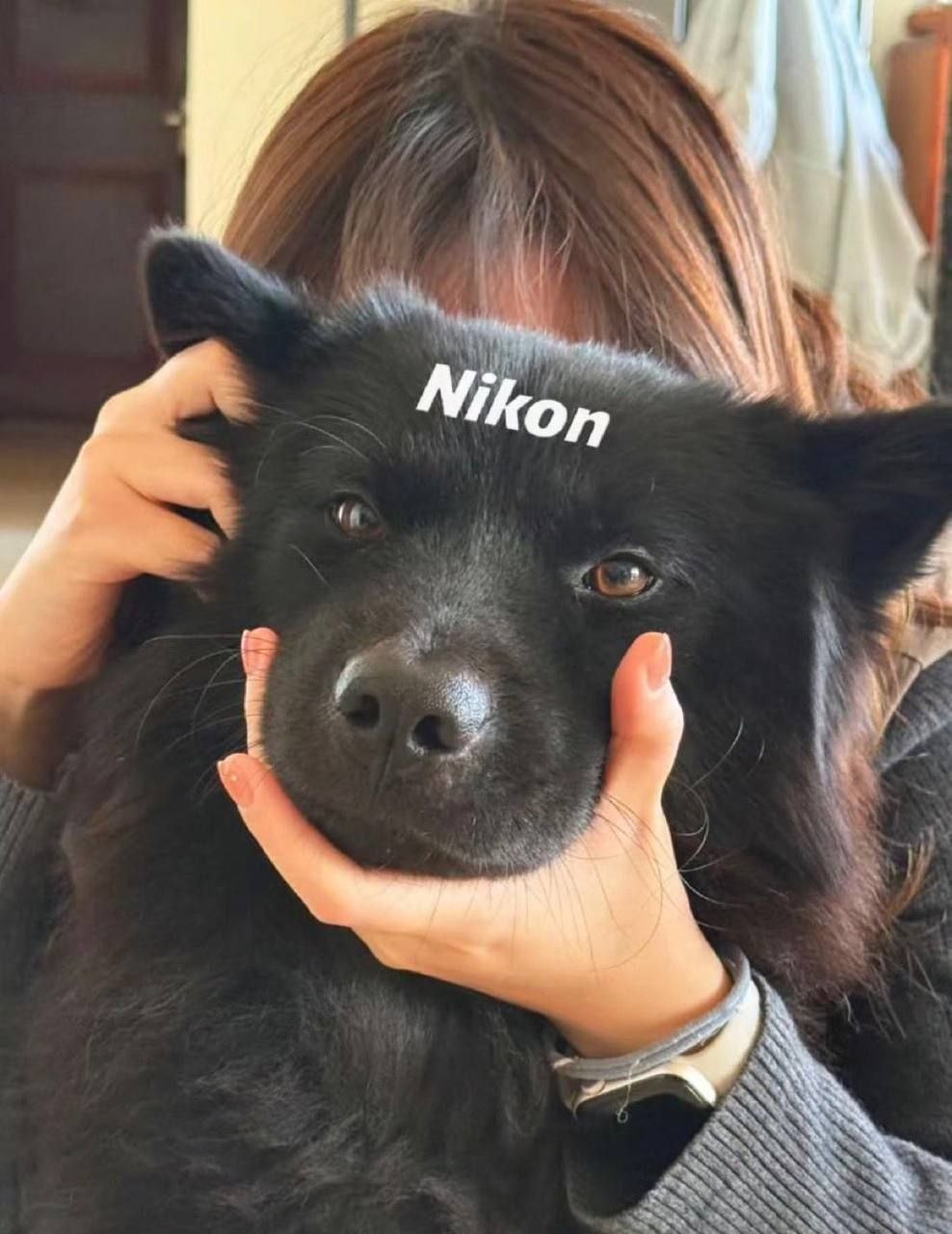 Я Nikon