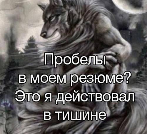 Пробелы" в моем резюме? Это я действовал в тишине