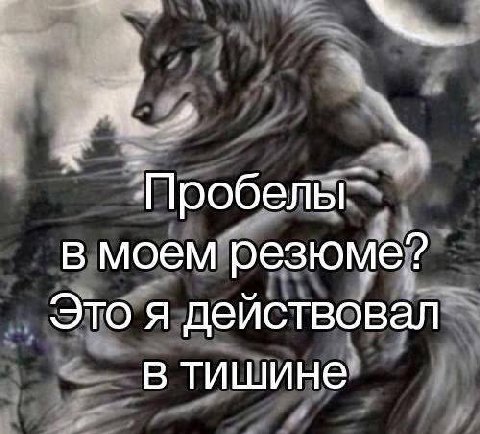 Пробелы" в моем резюме? Это я действовал в тишине