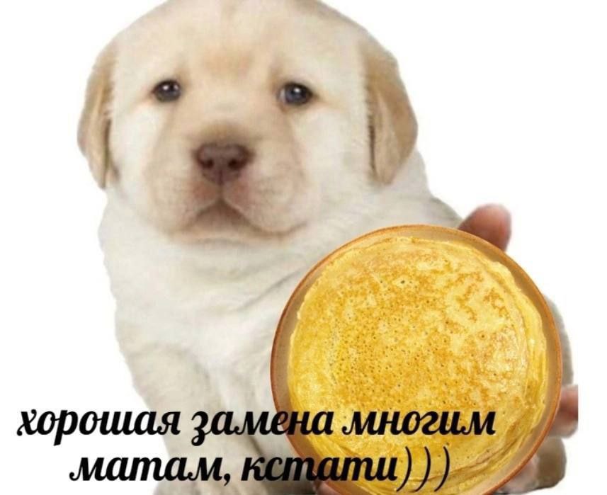 “a 4 хорошая