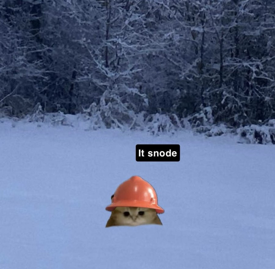 It snode