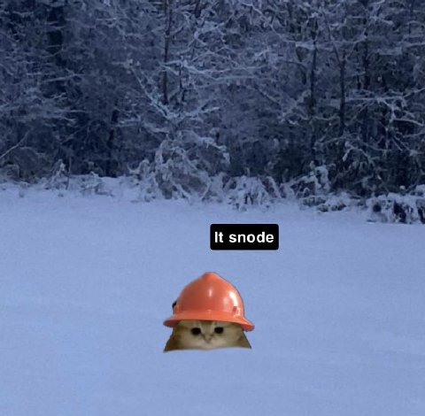 It snode