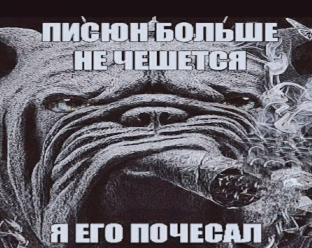 45 ate --7, У on Я ЕГО ПОЧЕСАЛ