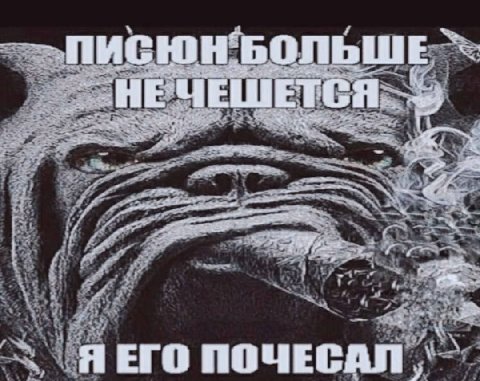 45 ate --7, У on Я ЕГО ПОЧЕСАЛ