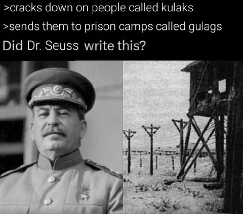 >cracks down on people called kulaks >sends them to prison camps called gulags Did Seuss write this? Я