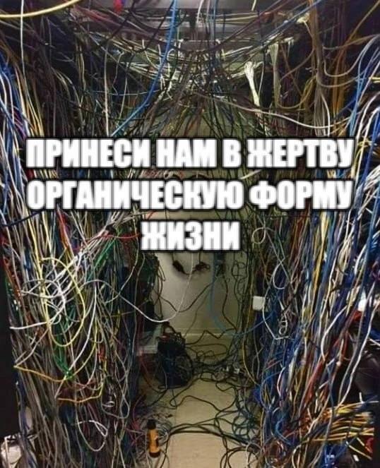 4 ПРИНЕСИ НАМ В ЖЕРТВУ a ОРГАНИЧЕСКУЮ ФОРМУ 1 и