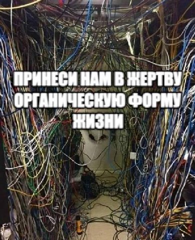 4 ПРИНЕСИ НАМ В ЖЕРТВУ a ОРГАНИЧЕСКУЮ ФОРМУ 1 и