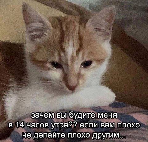зачем вы будите меня в 14 часов утра?? если вам плохо не делайте плохо другим...