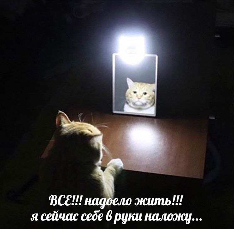 BCE!!! надоело кить!!! я сейчас cede 6 руки наложу...