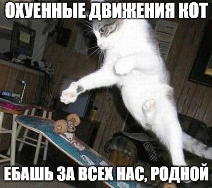 ОКУЕННЫЕ ДВИЖЕНИЯ KOT ЕБАШЬ ЗА ВСЕХ НАС, РОДНОЙ