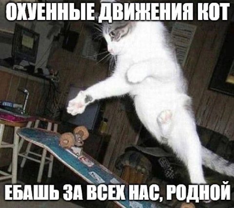 ОКУЕННЫЕ ДВИЖЕНИЯ KOT ЕБАШЬ ЗА ВСЕХ НАС, РОДНОЙ