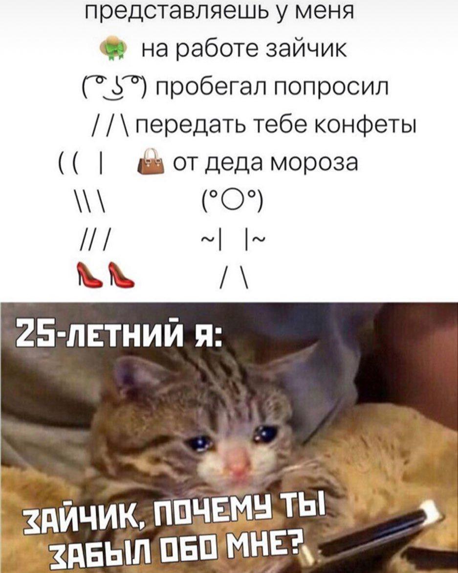 представляешь у меня на работе зайчик 5 пробегал попросил передать тебе конфеты мороза (°О°) 25-ПЕТНИЙ Я: a 2 ЗАЙЧИК,