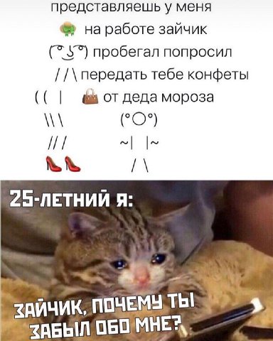 представляешь у меня на работе зайчик 5 пробегал попросил передать тебе конфеты мороза (°О°) 25-ПЕТНИЙ Я: a 2 ЗАЙЧИК,