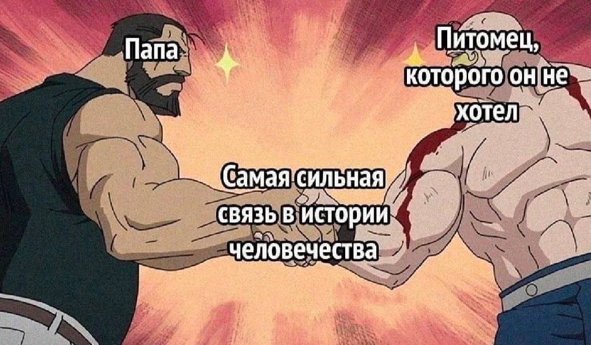 итоме Папа KOTO He рого он! хотел My и’ a и ильная СВЯЗЬ В человечества