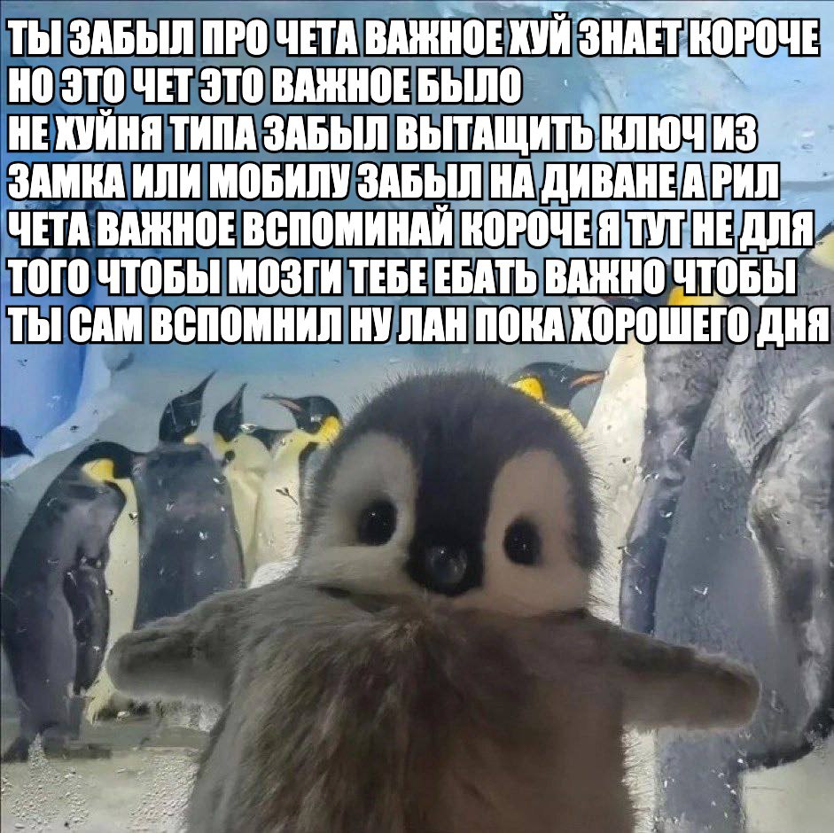 ТЫ ЗАБЫЛ ПРО ЧЕТА ВАЖНОЕ ХУЙ ЗНАЕТ КОРОЧЕ НО ЭТО ЧЕТ ЭТО БЫЛО НЕХУЙНЯ ТИПА ЗАБЫЛ ВЫТАЩИТЬ КЛЮЧ ИЗ ЗАМКА ИЛИ МОБИЛУ ЗАБЫЛ НА ЧЕТА ВАЖНОЕ ВСПОМИНАЙ КОРОЧЕЯ ТУТ HE ДЛЯ. ТОГО ЧТОБЫ МОЗГИ ТЕБЕ ЕБАТЬ ВАЖНО 