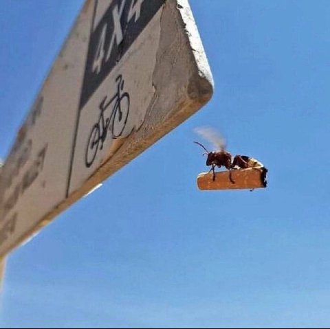 А A a