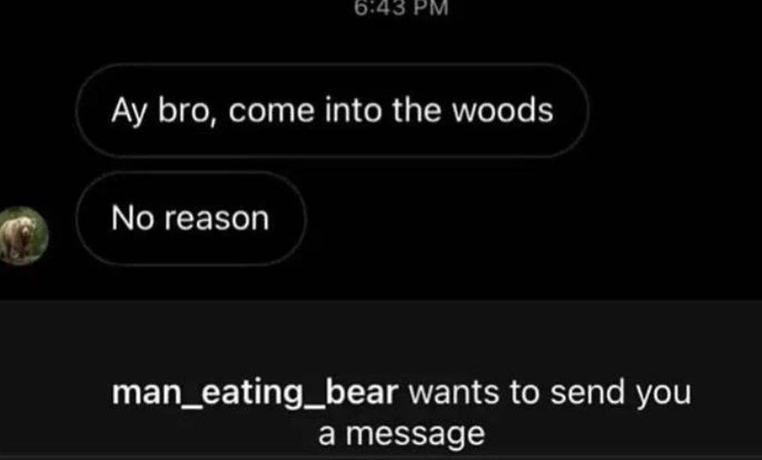 bro, come into the woods No reason man_eating_bear wants to send you а message