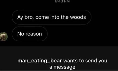 bro, come into the woods No reason man_eating_bear wants to send you а message
