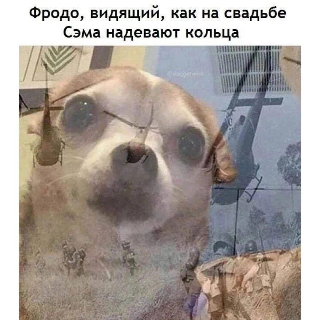 Фродо, видящий, как на свадьбе Сэма надевают кольца