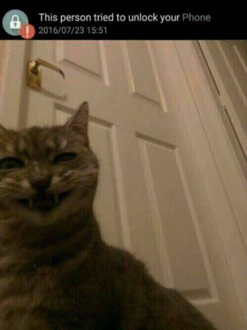 This person tried to unlock your Phone 2016/07/23 15:51